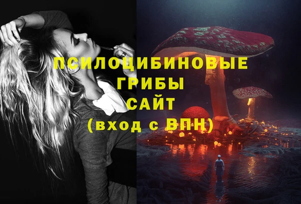 СК Абдулино