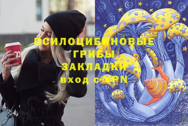 СК Абдулино