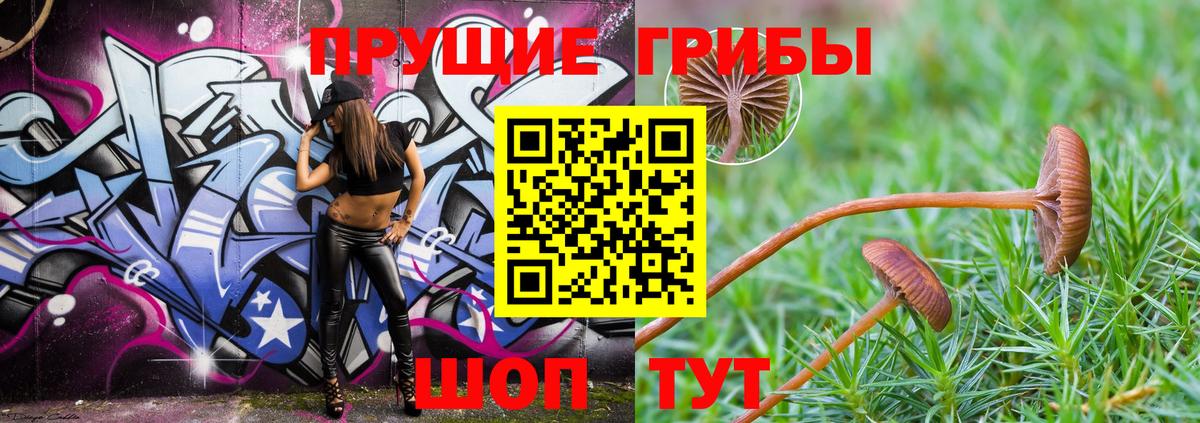 Псилоцибиновые грибы мухоморы Кострома