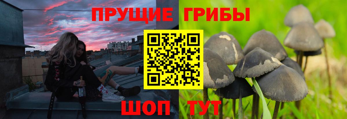Кострома  Псилоцибиновые грибы мухоморы  Вход с VPN 